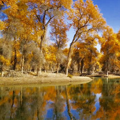 新疆南疆+喀什市11日10晚私家团 新疆南疆+喀什市11日10晚私家团