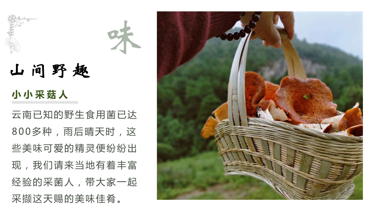 高山子镇人口_高山流水图片(3)