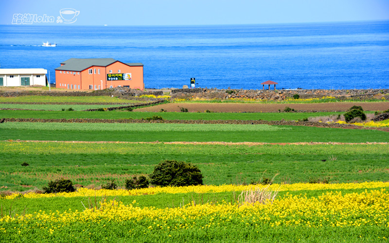 美食之旅·韩国济州岛5日4晚跟团游·免签证