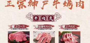 y+Universal Studios 【日本の季节限定】大阪+