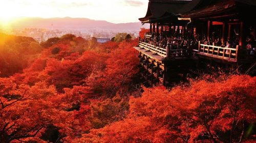 日本大阪府+奈良县+京都府+箱根+东京6日5晚