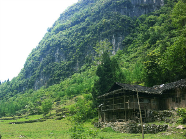 利川有多少人口_高速公路迎来车流返程高峰 G50利川段缓堵30余公里
