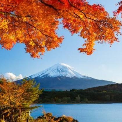 日本东京+箱根+京都+大阪6日5晚跟团游 日本东京+箱根+京都+大阪6日5晚跟团游