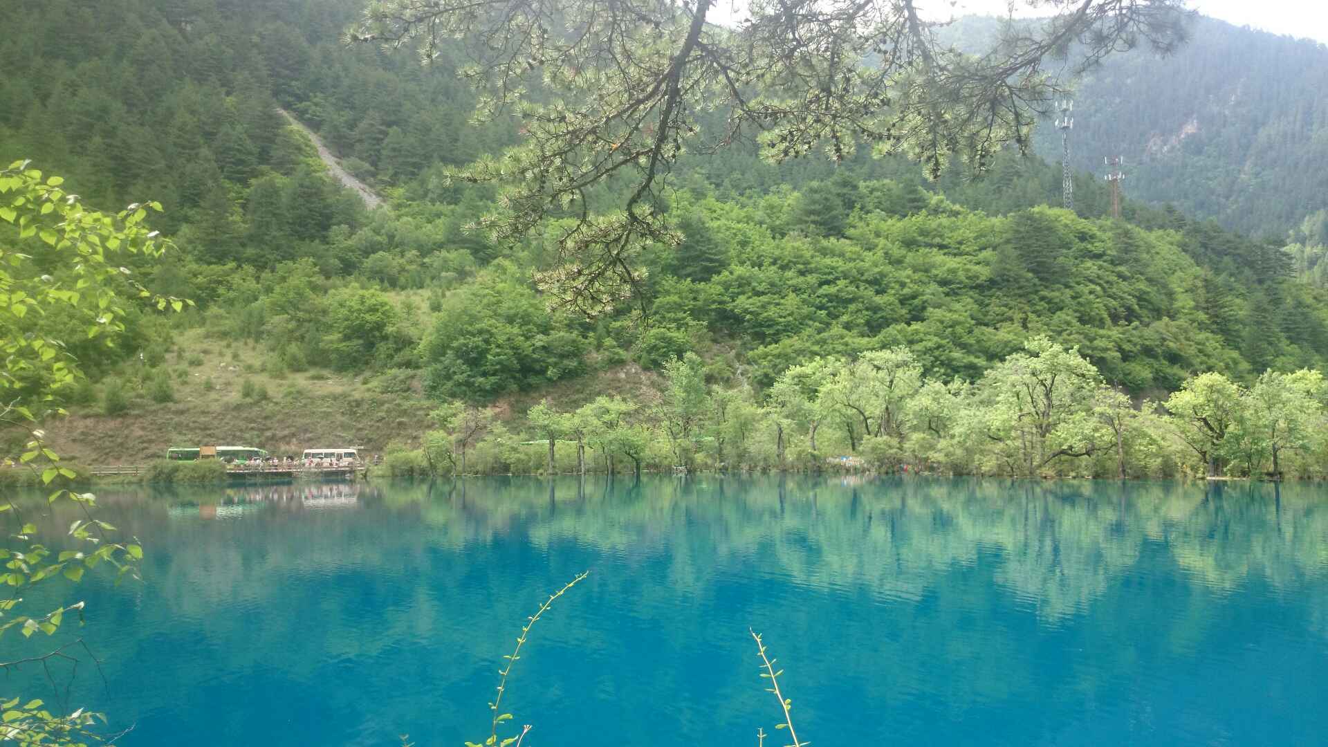 电脑壁纸小熊猫高清图片