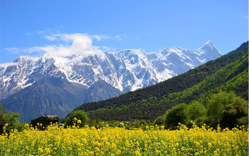 西藏拉萨+林芝+大峡谷6日5晚跟团游·含杭州