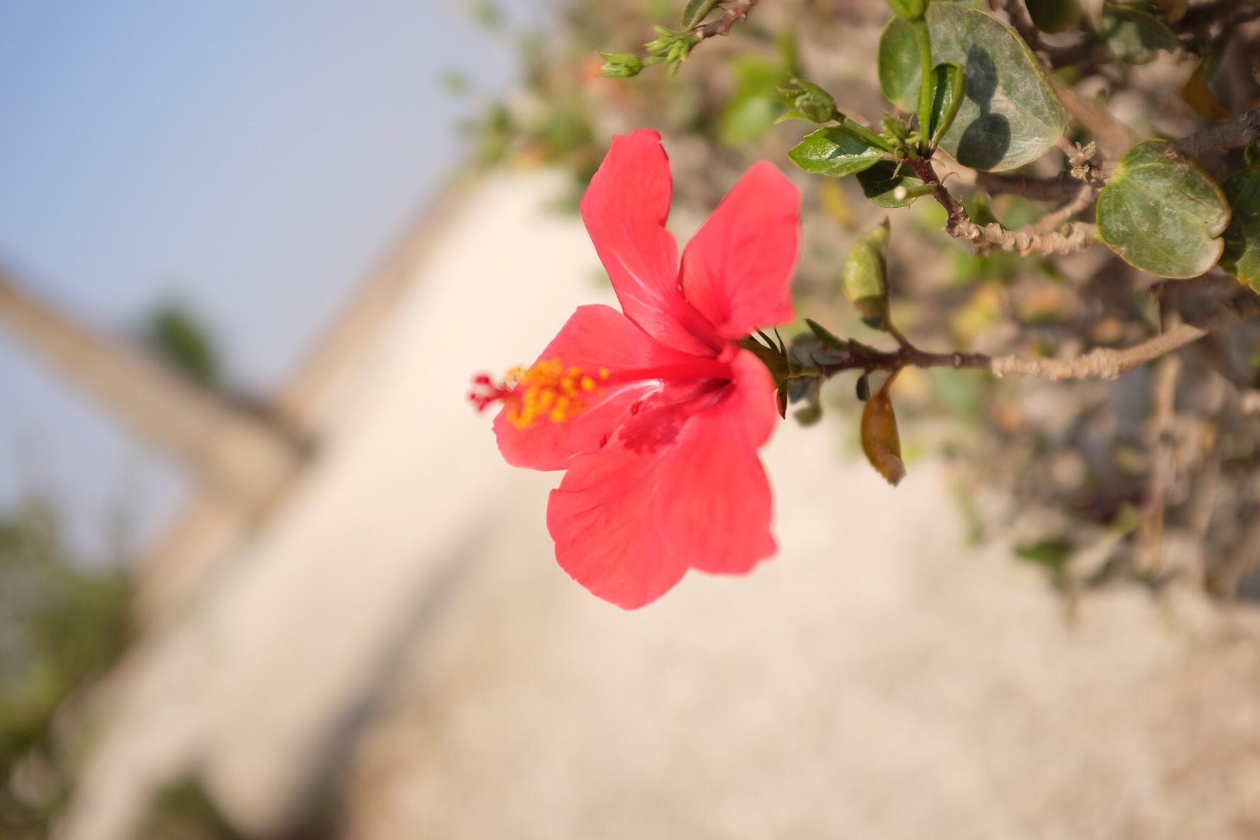 埃及旅游怎么样,埃及旅游好玩吗【携程旅游】