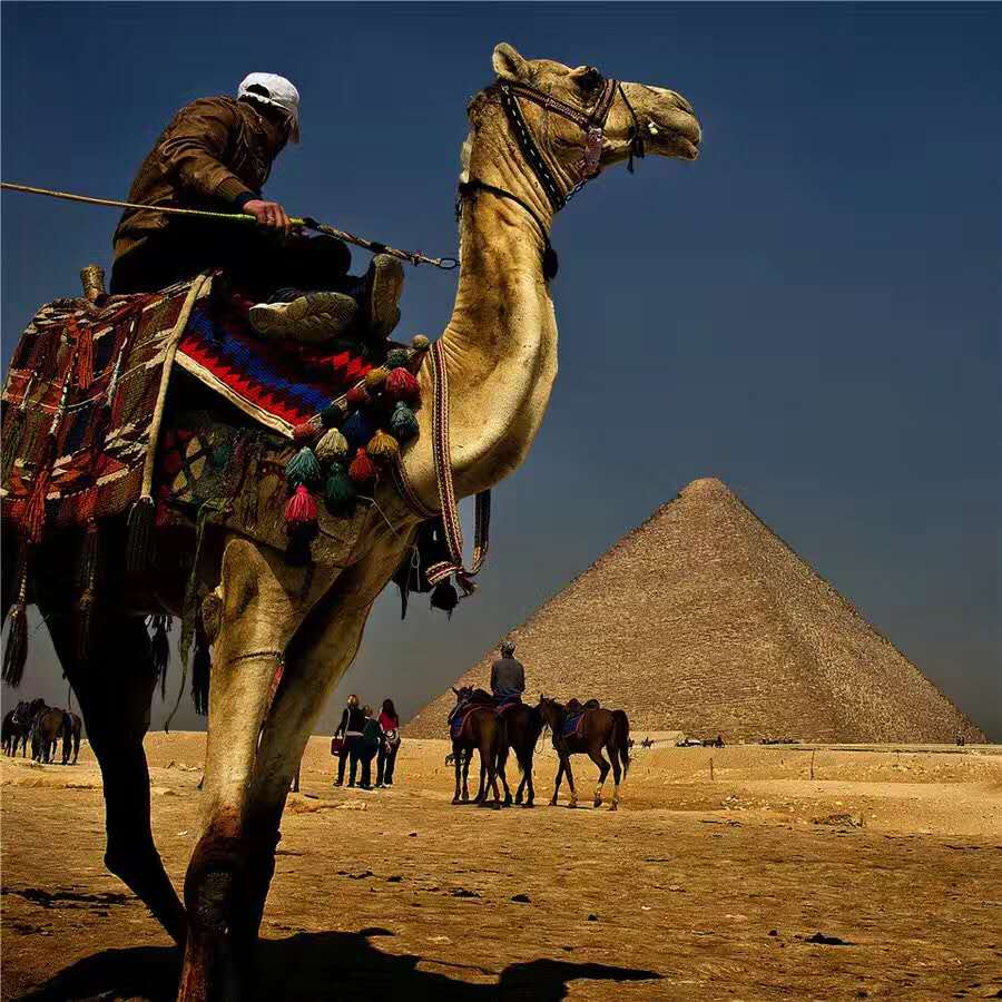 埃及当地导游阿宝是地,埃及开罗+卢克索+红海