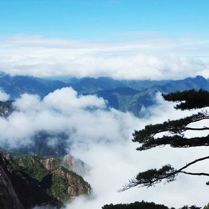 南昌+庐山风景区+婺源+三清山风景区+井冈山8日7晚跟团游