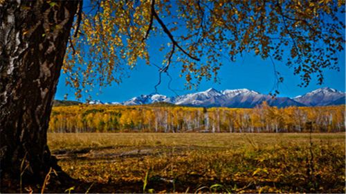 俄罗斯贝加尔湖4日自由行·北京直飞+团队免