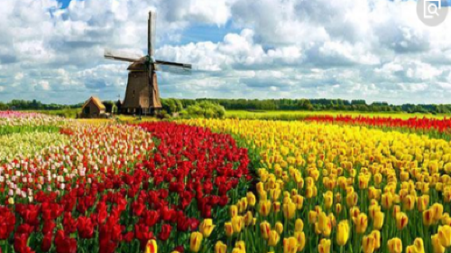 意大利拘留最短时间 意大利续拘留补交保险