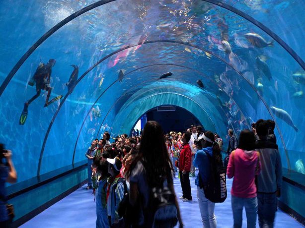 壁纸 海底 海底世界 海洋馆 水族馆 2048_1536