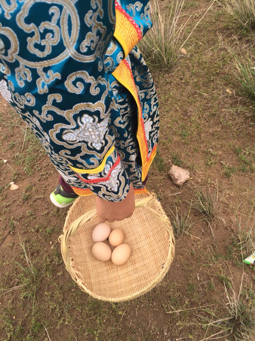 呼和浩特旅游怎么样,呼和浩特旅游好玩吗【携