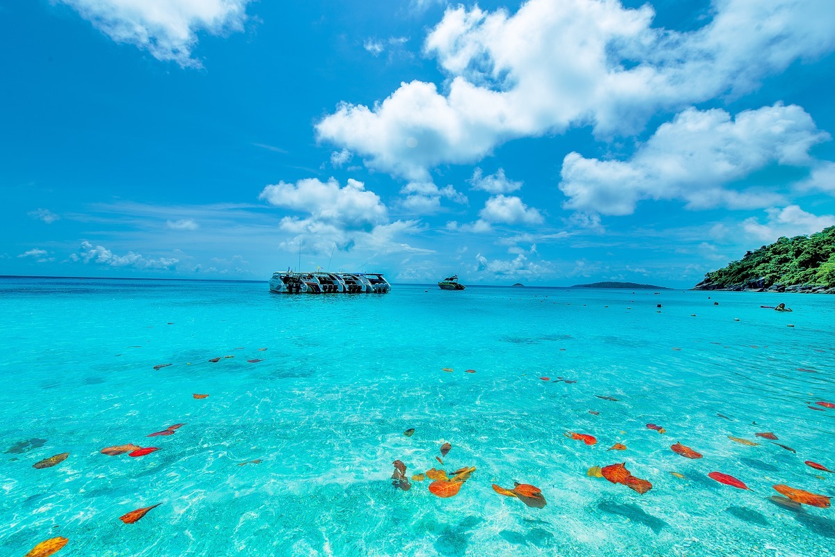 摄影之旅·斯米兰群岛+普吉岛7日5晚跟团游·