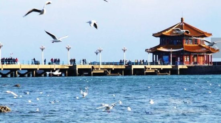 大海海鸥打一成语疯狂看图猜成语_嘴心打一成语疯狂看图(3)