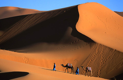 摄影之旅·摩洛哥+阿联酋迪拜+阿布扎比12日