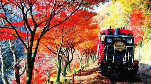 赏枫游·大阪+京都+奈良+名古屋6日5晚跟团游