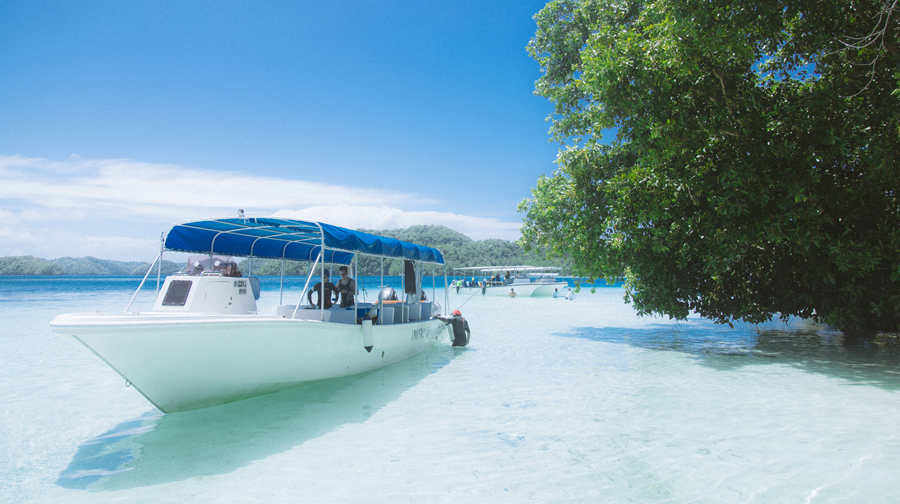 帕劳5日跟团游·3日出海+2日陆地VIP小团+中