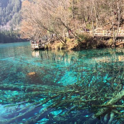 九寨沟+黄龙风景名胜区+峨眉山+乐山大佛5日4晚跟团游