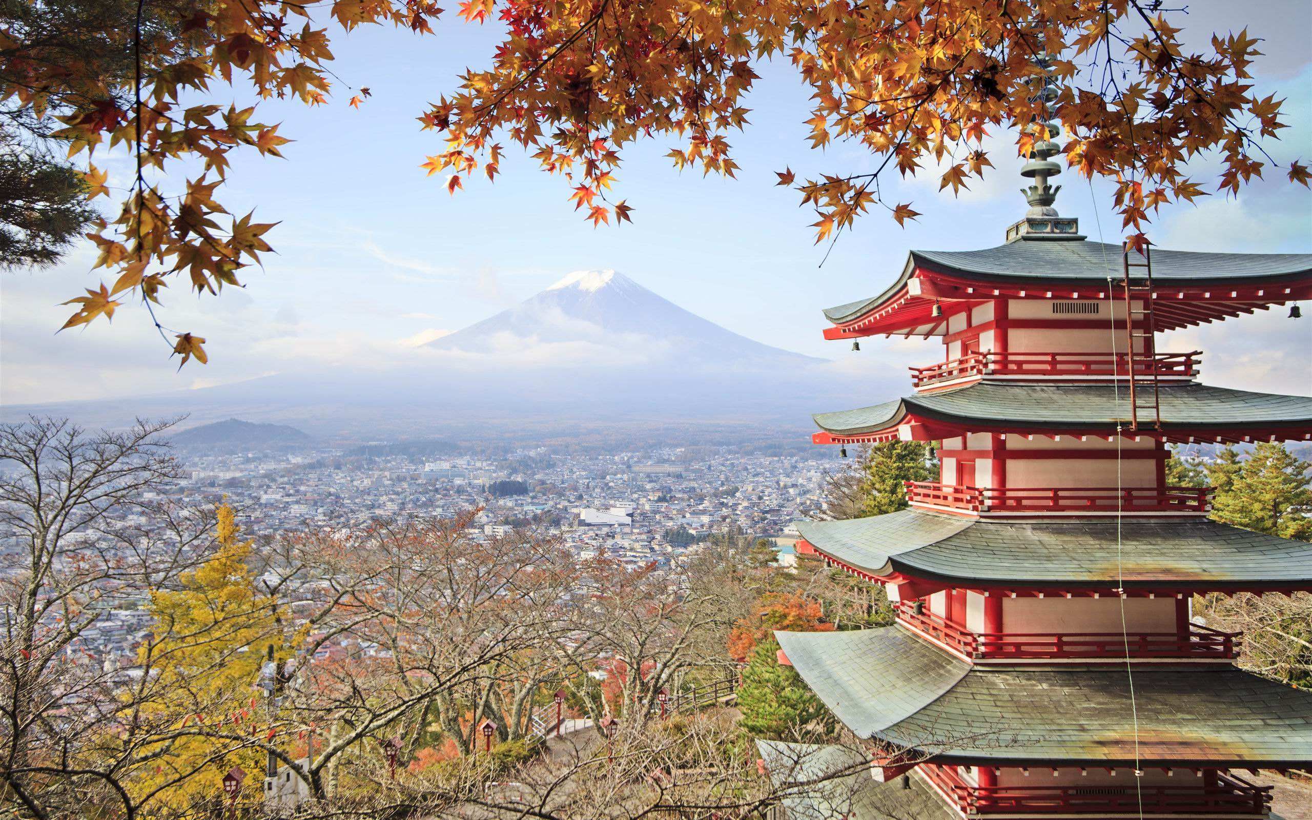 日本樱花节开幕在即 最美赏花地竟然在这里！附赏樱最强攻略+各地樱花开放日期预测-京都旅游攻略-游记-去哪儿攻略