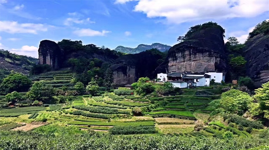 武夷山+九曲溪漂流3日2晚跟团游(5钻)·【8人小团·典纯玩】住