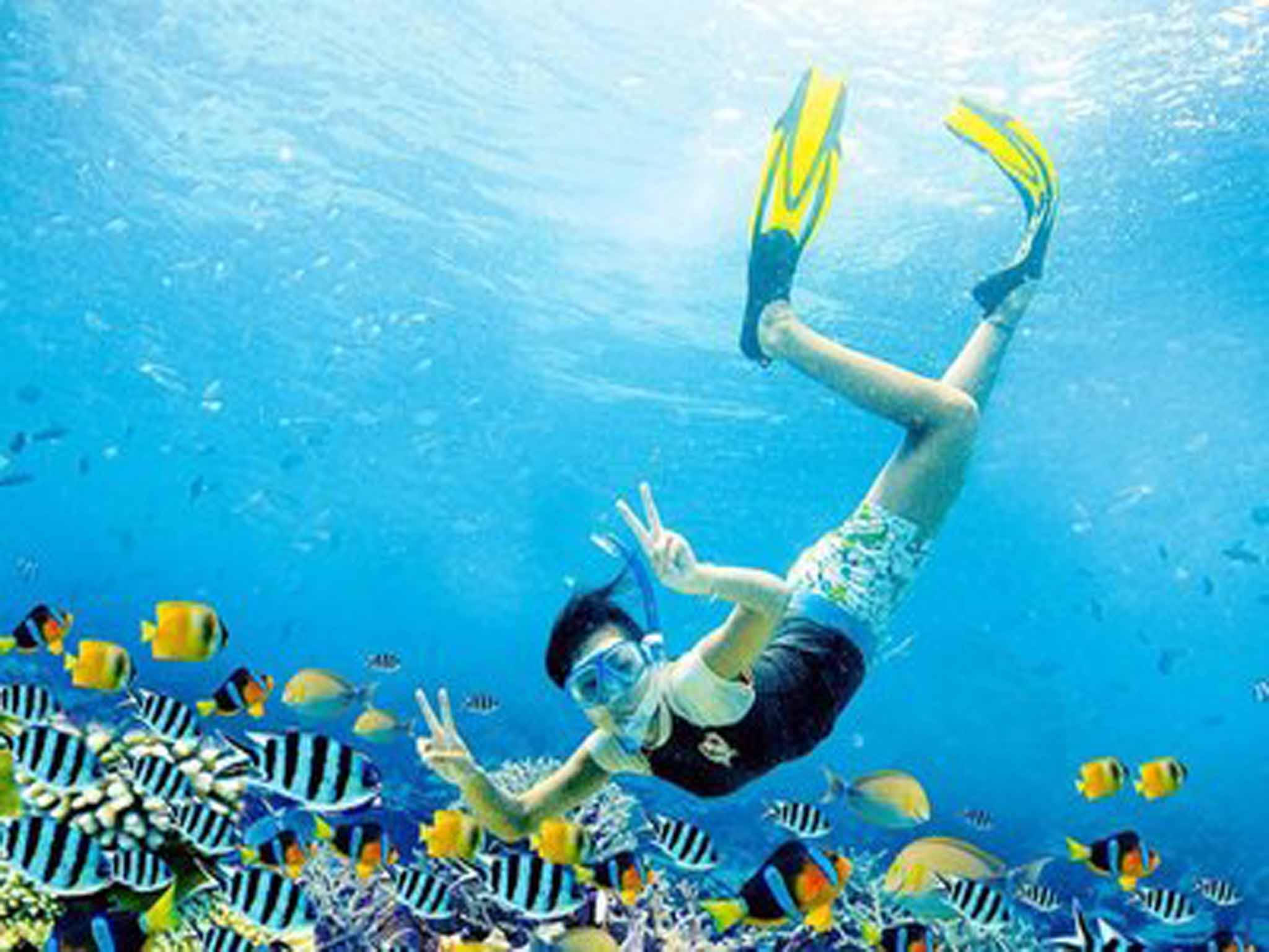 普吉岛+斯米兰群岛6日5晚跟团游(4钻)·无自费