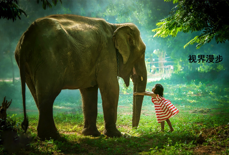 行程比较完美,没有强,泰国普吉岛6日跟团游·