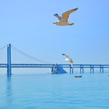 大连+金石滩+旅顺口区3日2晚跟团游 大连+金石滩+旅顺口区3日2晚跟团游