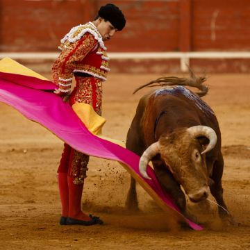 西班牙+葡萄牙11日10晚私家团 西班牙+葡萄牙11日10晚私家团