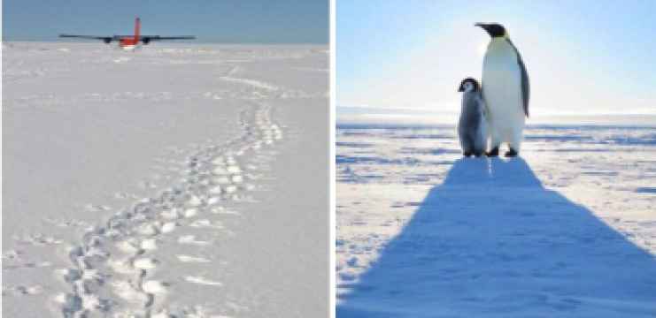 西海学生记者“穿越”南极 沉浸式体验极地魅力