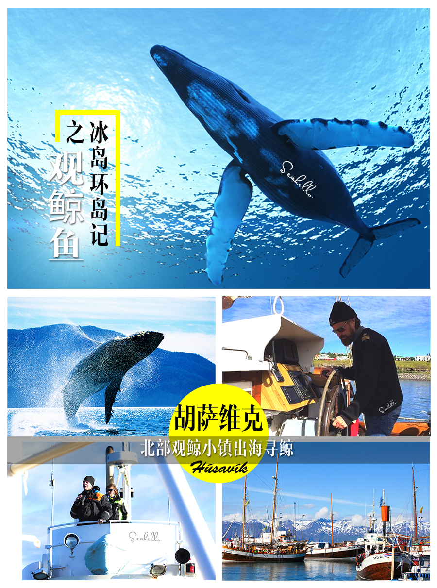 地心游记 冰岛人口_冰岛极光(3)