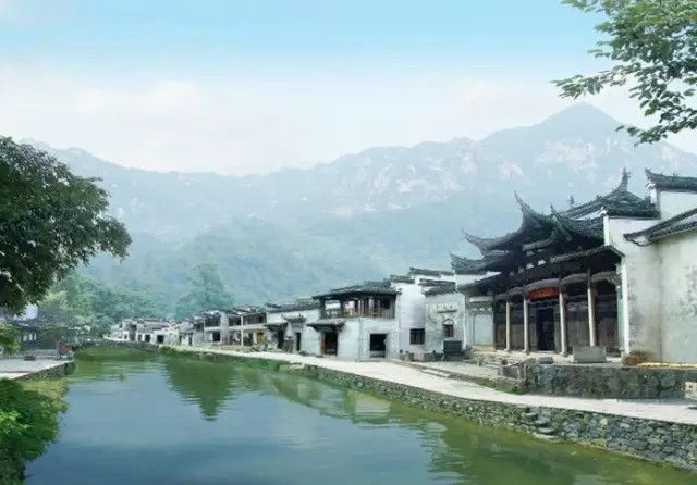 骑行·骑行 安徽黄山/绩溪龙川景区 家朋油菜花 荆州盘山公路