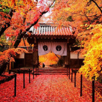 日本东京+大阪+京都+奈良+富士山7日跟团游 日本东京+大阪+京都+奈良+富士山7日跟团游