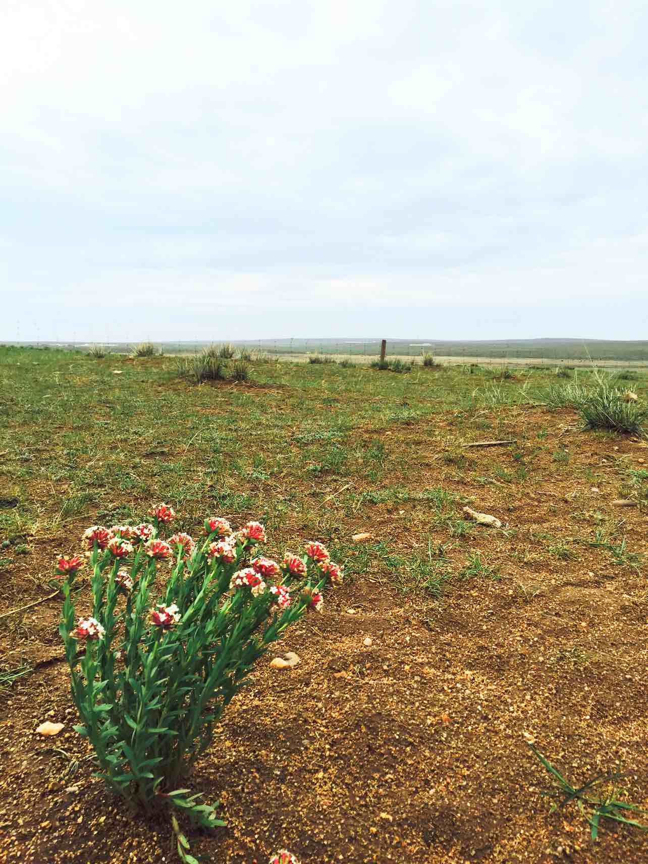 内蒙古旅游怎么样,内蒙古旅游好玩吗【携程旅