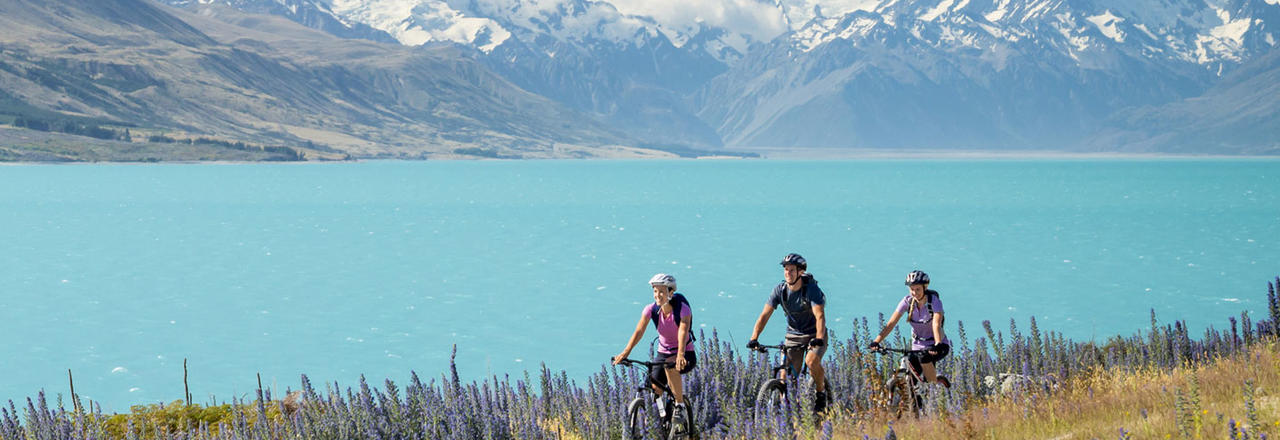 新西兰基督城+奥克兰+皇后镇+奥马鲁+但尼丁