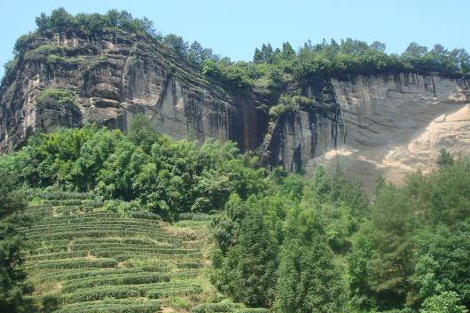 介绍武夷山的主要景点 300v0c00000067fwq44A2.jpg