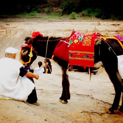 山西太原+五台山+大同+平遥+山西黄河壶口瀑布旅游区6日5晚跟团游 山西太原+五台山+大同+平遥+山西黄河壶口瀑布旅游区6日5晚跟团游