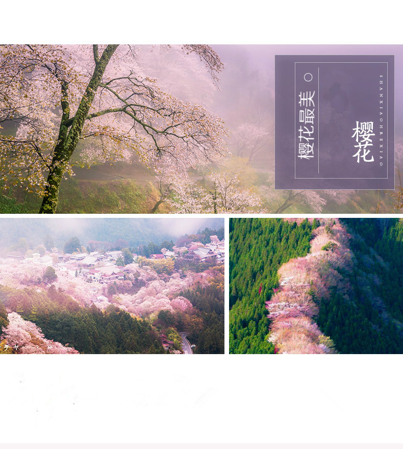 日本东京+富士山+名古屋6日5晚跟团游· 至少