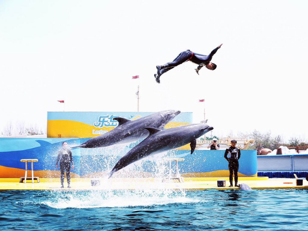 北戴河2日1晚跟团游(3钻)·乐岛海洋王国+海豚