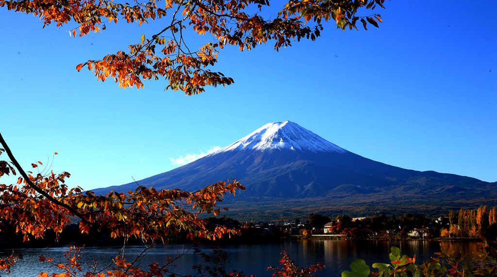 富士山gdp_富士山樱花