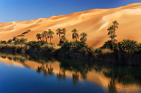 阿联酋迪拜+阿布扎比5日4晚跟团游·安排阿布