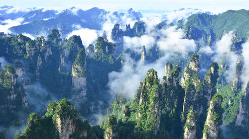 恩平旅美人口比台山多_恩平烧饼图片