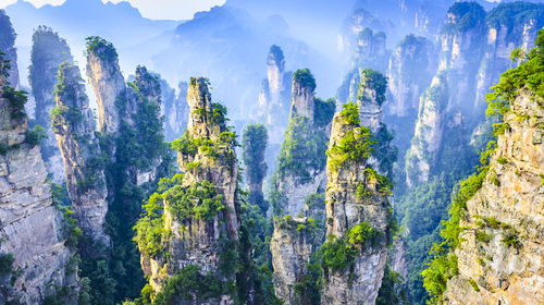 张家界武陵源区人口_张家界武陵源区地图(2)