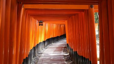 【京都经典路线】世界遗产金阁寺清水寺+岚山