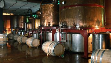 【中文导游+贵族午餐】西班牙桃乐丝Torres酒