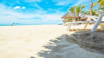 【当地司机 中文导游】越南芽庄四岛(木岛+黑