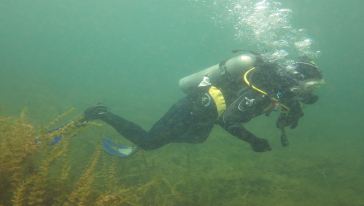 【能见度潜水俱乐部】PADI昆明OW\/AOW潜水