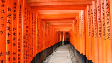 稻荷大社+金阁寺+岚山+奈良公园+大阪梅田空