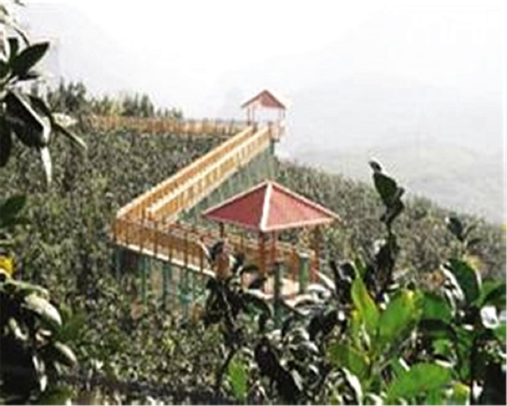 平和高峰谷+蚂蚁王国+玻璃桥+高寨村纯玩一日游(专车专导轻奢小团+游