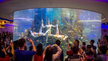 厦门荣誉国际酒店(梵尔纳海洋主题自助餐厅)自