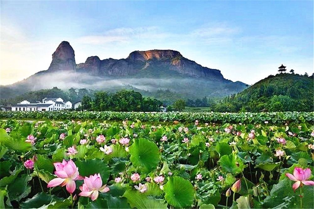 赣州石城通天寨云海玻璃观景平台寨下荷花园一日游深山藏古寺仙人犁田